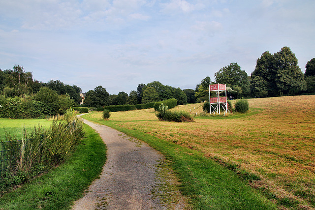 Ehemalige Naturhindernis-Pferderennbahn (Castrop-Rauxel) / 3.08.2024