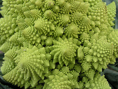 Fractal cauliflower