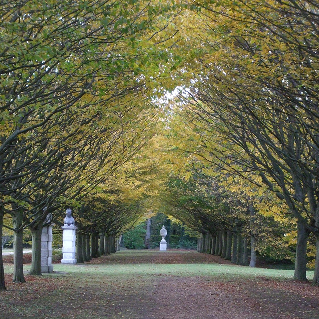 Anglesey Abbey 2011-10-29