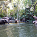 Jungle Cruise in Disneyland, June 2016