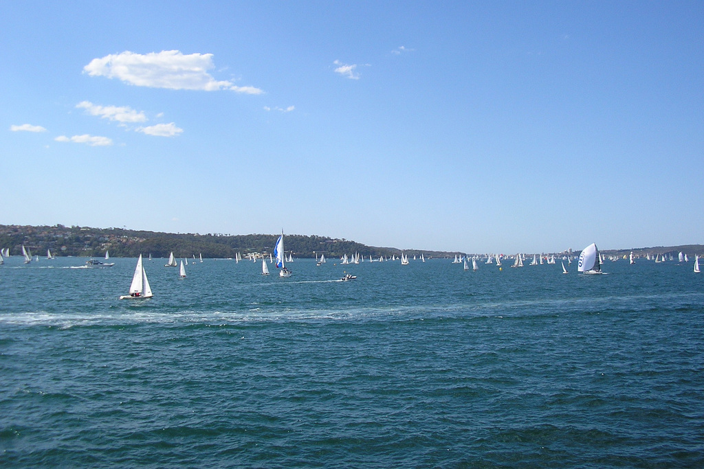 Boats On Sydney Harbour