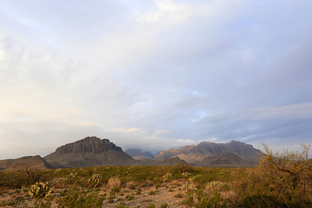 Chisos Mountains from Dugout Wells