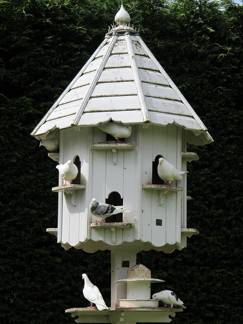 Pigeonnier dans un parc