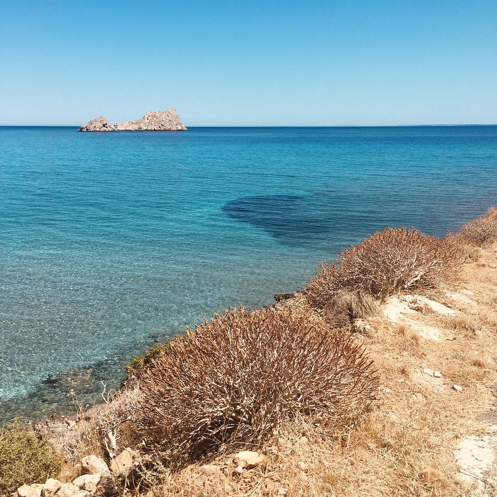 Turquoise sea.