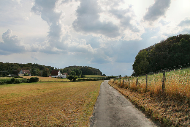 Alter Kohlenweg (Sprockhövel) / 16.08.2020