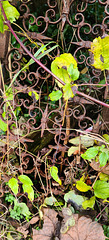 Ruined Chapel gate, St Anne's Church, Talygarn