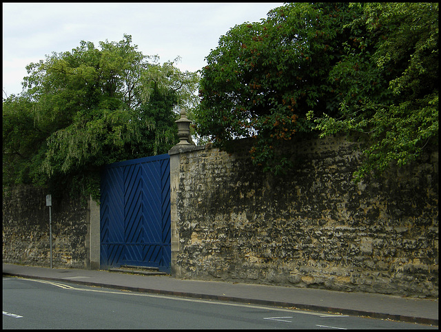 trees by the old infirmary wall