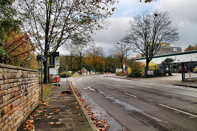 Vierhausstraße (Bochum-Grumme) / 11.11.2023