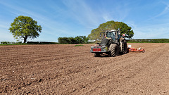 Working the fields