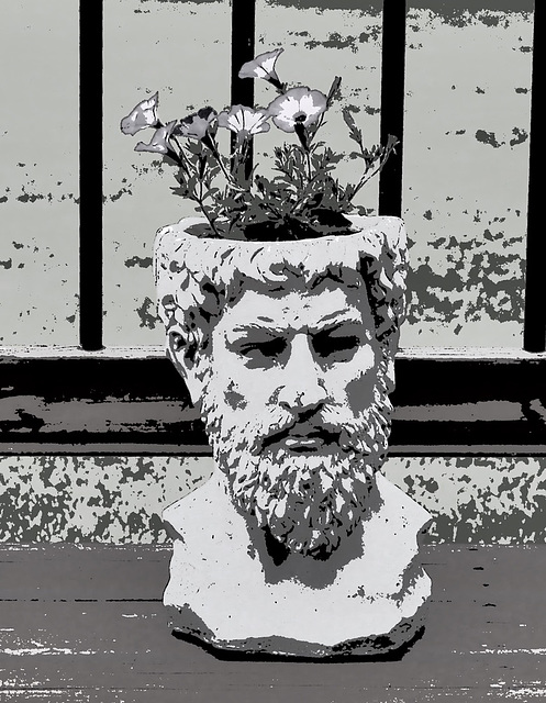 Flower Head.
