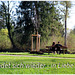 im Kurpark (PiP) im Kurpark (PiP)