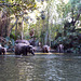 Jungle Cruise in Disneyland, June 2016