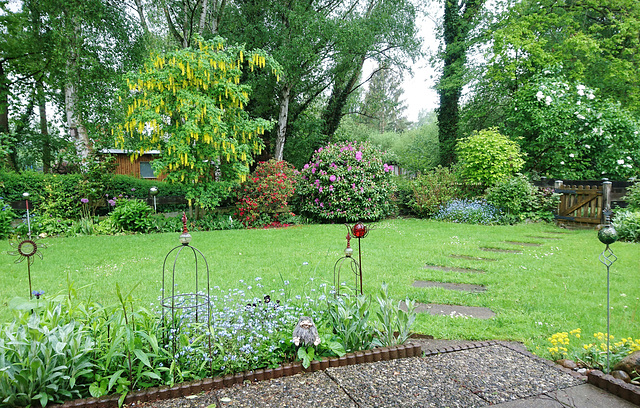 Mein Garten im Mai-Regen