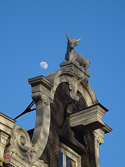 afternoon moon in Amsterdam