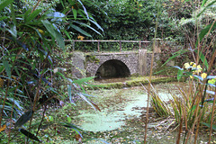 Adam's Well, Tal-y-Garn