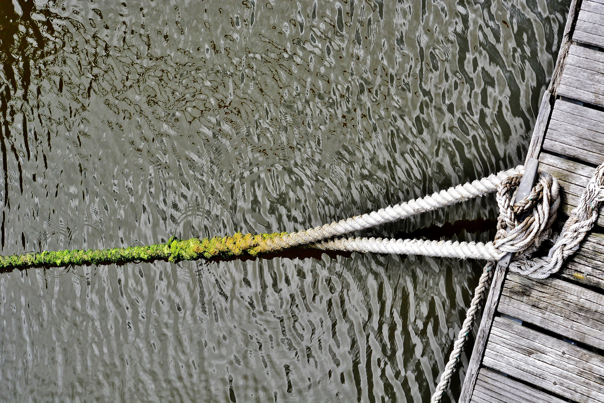 Ropes 4