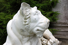 Lioness Flanking Eastern Portico, West Wycombe Park, Buckinghamshire