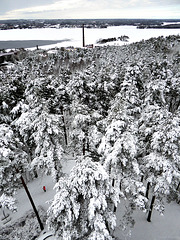 Winter in Finland