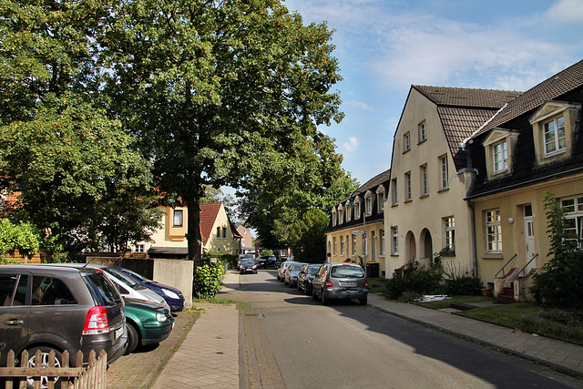 Heinrich-Wienke-Straße (Siedlung Fürst Leopold, Hervest-Dorsten) / 19.07.2020