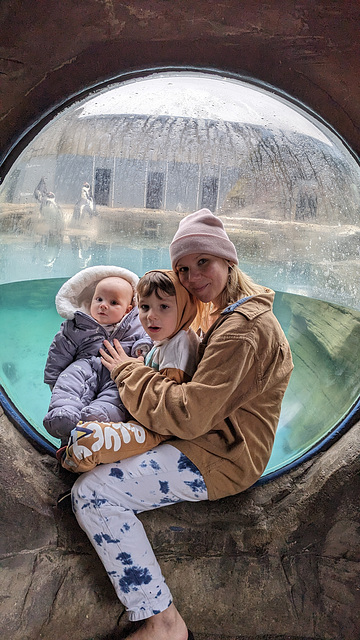 Lucie, Finn & Remi at the Seal Sanctuary Cornwall