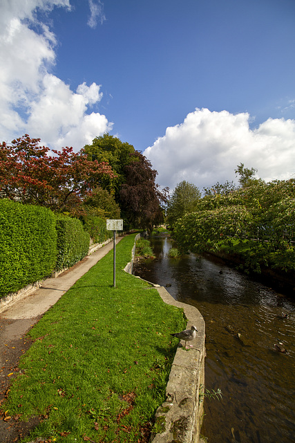 Kinness Burn, 2014