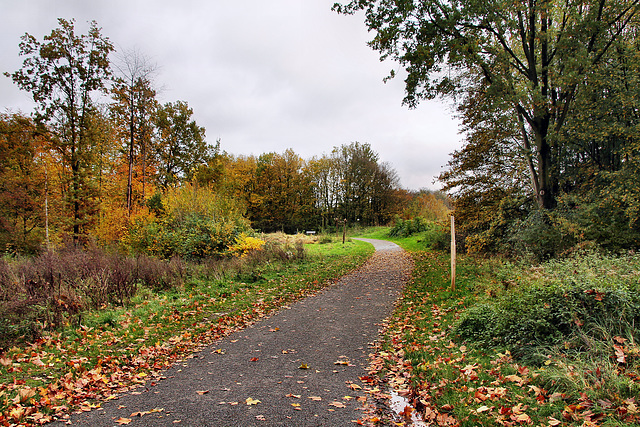 Herbstlicher Park auf dem ehem. Zechengelände Constantin 1 (Bochum-Grumme) / 11.11.2023