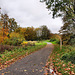 Herbstlicher Park auf dem ehem. Zechengelände Constantin 1 (Bochum-Grumme) / 11.11.2023