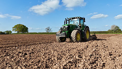 Working the fields