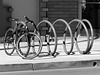 The Cycle (Mono) - 8 November 2015