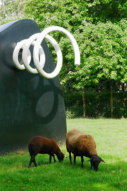 Les moutons ne s'intéressent pas à l'art moderne