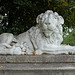 Lion Flanking Eastern Portico, West Wycombe Park, Buckinghamshire