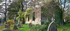 Ruined Chapel, St Anne's Church, Talygarn