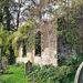 Ruined Chapel, St Anne's Church, Talygarn