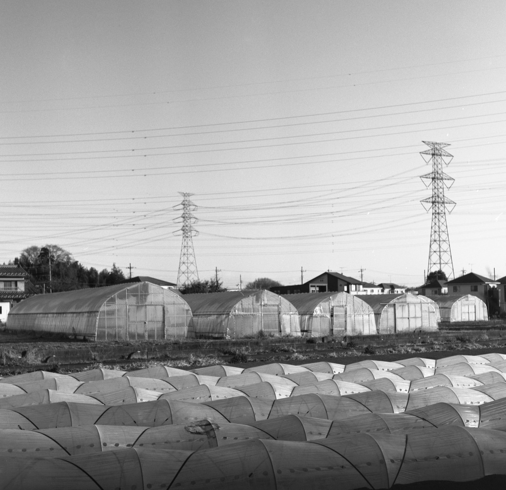 Hoop tunnels and houses