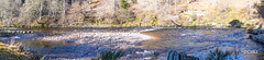 The River Findhorn below Auchnagairn and Relugas Mill