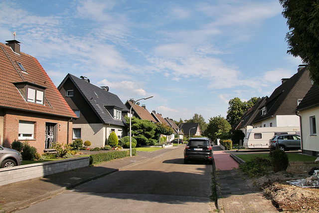 Heinrich-Wienke-Straße (Hervest-Dorsten) / 19.07.2020