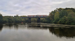 Ely crossing