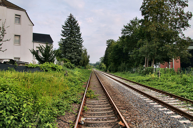 Bahnstrecke Duisburg-Ruhrort–Dortmund (Castrop-Rauxel) / 3.08.2024