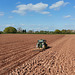 Working the fields