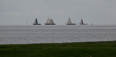 20140907 4807VRAw [NL] Terschelling