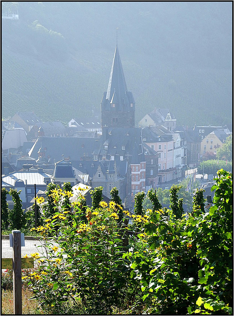 Bernkastel-Kues 027