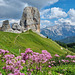 Balcone sulle Cinque Torri