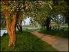 Thames Path towards Oxford