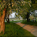 Thames Path towards Oxford