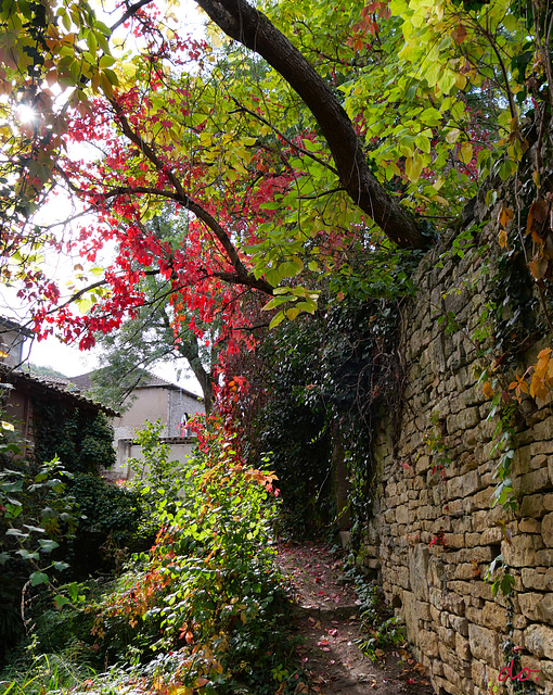 couleurs automne et toujours