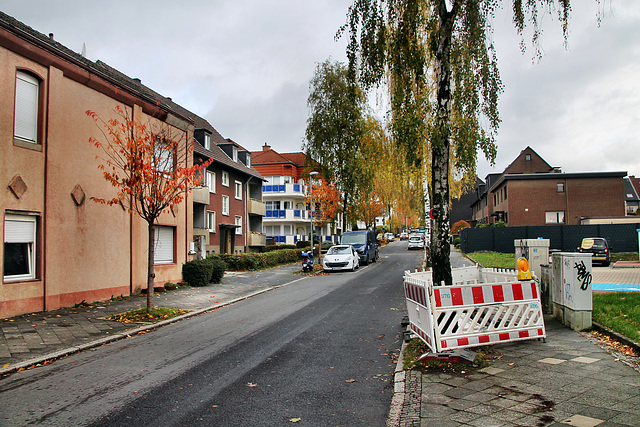 Falkstraße (Bochum-Hofstede) / 11.11.2023