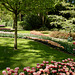 Keukenhof Tulips2