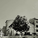 Solomeo