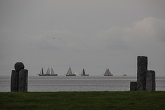 20140907 4806VRAw [NL] Terschelling