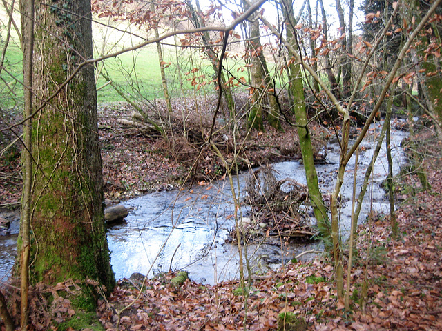 Wanderung am Gäblerbach/Bern